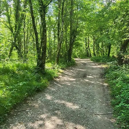 Belka With Terrace&bbq * 톨민