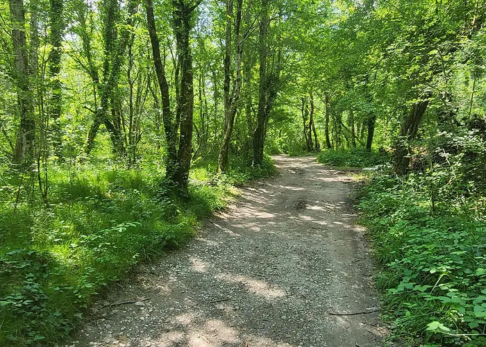 Belka With Terrace&bbq * 托尔明